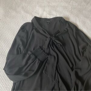 Torrid Black Sheer Blouse